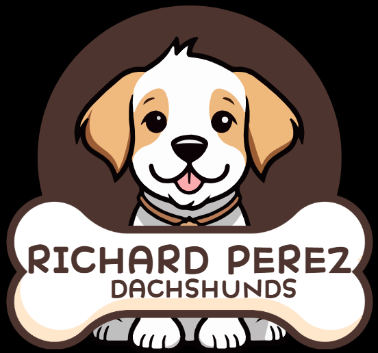 RICHARD PEREZ DACHSHUNDS